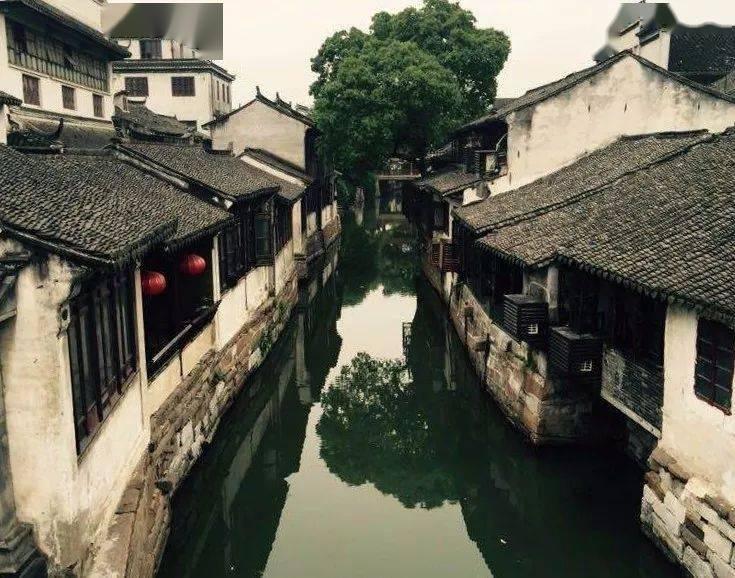 迷路的老奶奶